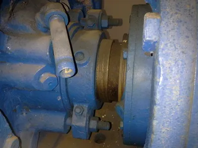 USED Goulds 3175