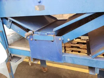 Berry Grading Sorter