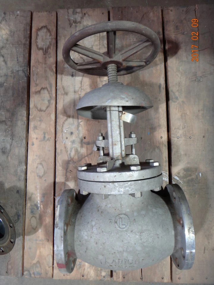 Ladish 6", Class 150, CF8M, Globe Valve.