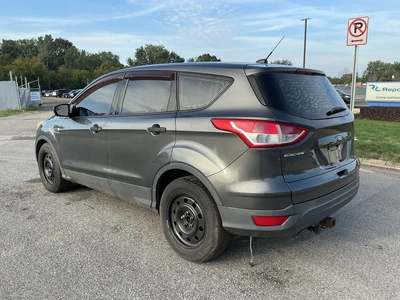 Used 2016 FORD ESCAPE SUVs Michigan US | Miedema Asset Management Group #1406841