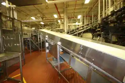 ss conveyor