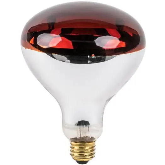 250 Watt Red Infrared Heat Lamp Light Bulb