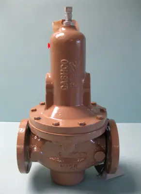 NEW Cashco D19-5XX7-4NX55235E