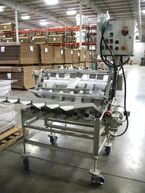 Used RMF PSNG.4 Patty Forming Machines Illinois US | M&M Equipment Corp. #1368343