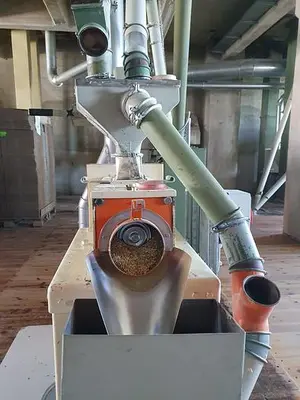 Oatmeal processing plant 1 t/h