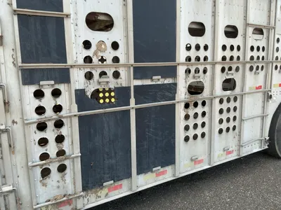 Used 2007 MERRITT 53' ALUMINUM LIVESTOCK Agricultural Trailers Michigan US | Miedema Asset Management Group #1328961