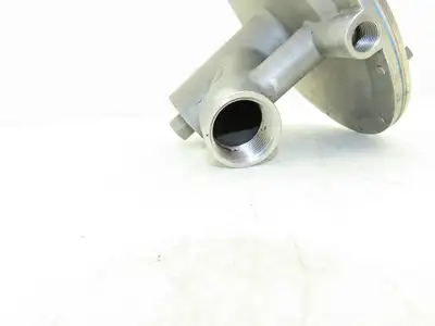Zuercher Technik SS25IS.G21SB.SSKP.TT Low Pressure Relief Valve