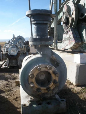 USED GOULDS 3196