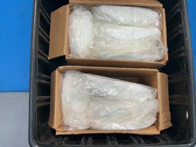 Used DUPONT PP 667S WH 00 05000B Miscellaneous MRO Ohio US | HGR 24 #1260775