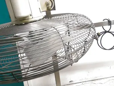 Double Down Fan