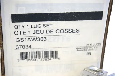 NEW TELEMECANIQUE GS1AW303 LUG SET