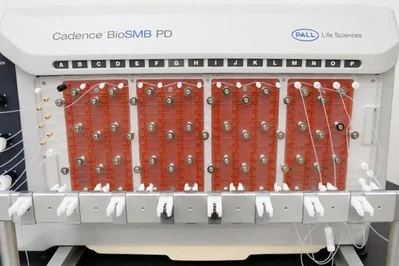 Used PALL CADENCE™ BIOSMB PD (PROCESS DEVELOPMENT Chromatography New Jersey US | Bionex Scientific LLC #916580