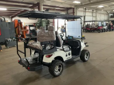 Used 2026 SDLANCH HQ80 Golf Carts Michigan US | Miedema Asset Management Group #1334667