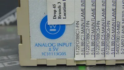 Westinghouse Emerson 1C31113G05 Ovation Analog Input Module Used