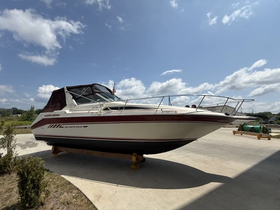Used 1993 SEA RAY SUNDANCER 290 Boats (Misc) Michigan US | Miedema Asset Management Group #1340461