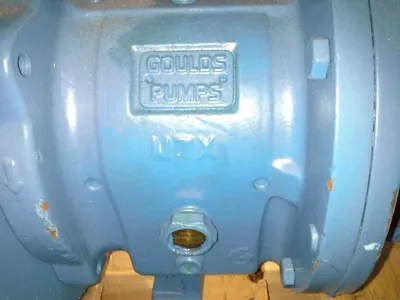 USED Goulds 3196 MTX