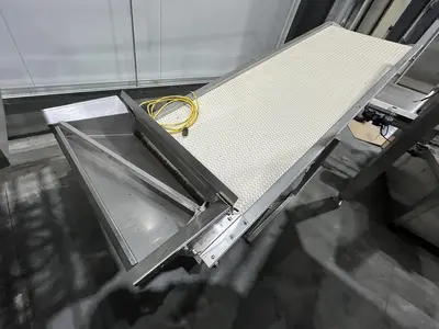 Scalloped Belt Incline Conveyor with Hopper