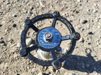 1" Class 800 Globe Valve API 602