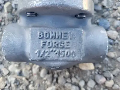 NEW BONNEY FORGE 9HL 18L-NACE-LE
