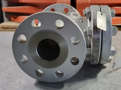 NEW PK VALVE 302RF8