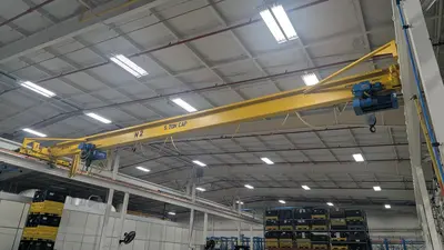 SHAW BOX 5 / 5 Ton Cranes - Overhead, Bridge | Highland Machinery & Crane (6)