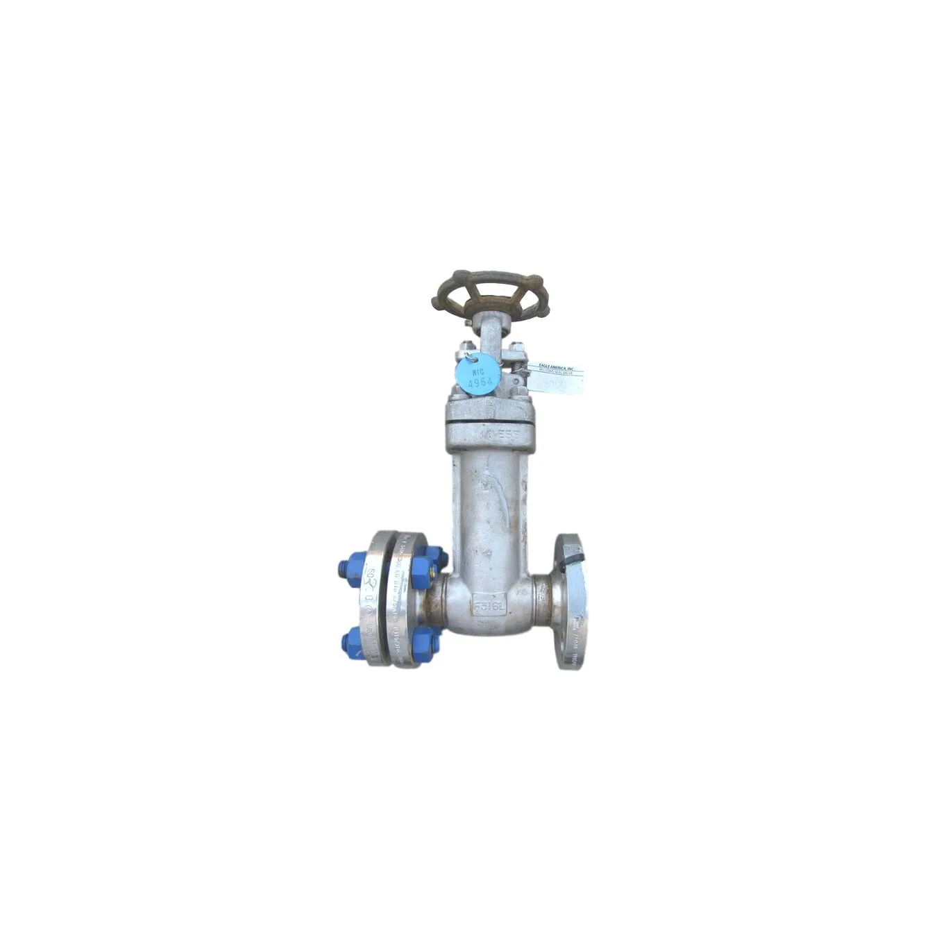 Eagle America 1" Forged Stainless Steel Gate Valve - W8 Series