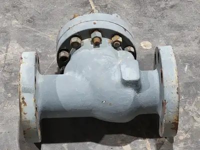 3" Class 600 Check Valve