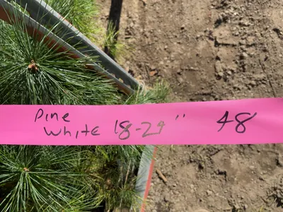 Used _UNKNOWN_ _UNKNOWN_ Farm Supplies Michigan US | Miedema Asset Management Group #1476013
