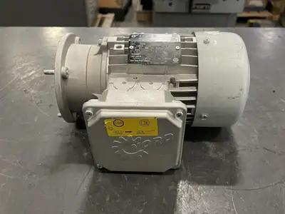 NEW 2019 NORD SK 63L/4CUSTF