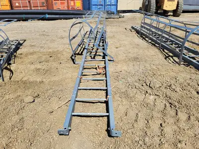 18.5ft. Steel Caged Ladder