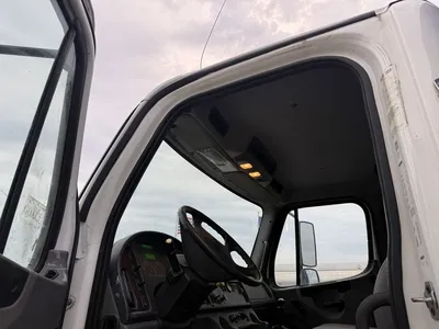 Used 2019 FREIGHTLINER DUMPING GRAIN BODY Dump trucks Minnesota US | Carco Truck & Equipment #1514136