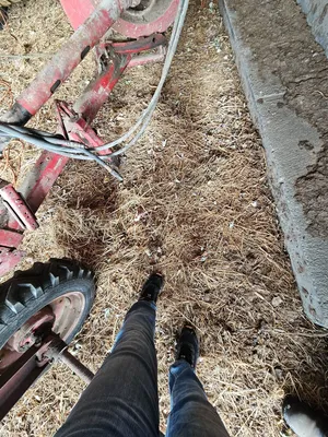 NEW HOLLAND 55 Hay Rakes | Iron Listing (14)