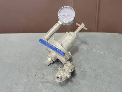 Fuel Pressure Regulator w/ Valve and Gauge