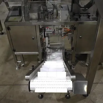 Apai bagger with 10 head scale