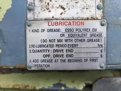 250 hp, 4000 volts, 1780 rpm, 5007C, Electric Motor
