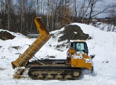 Used 2009 MOROOKA MST3000VD Crawler Carriers & Dumpers New York US | Abele Tractor #1343115