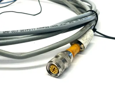 RK 4.4T-6 6.5',U2177 | Turck RK 4.4T-6 6.5' Euro Fast Cordset 300V FT1 U2177 LOT OF 3 - Used