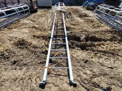16ft. Steel Caged Ladder