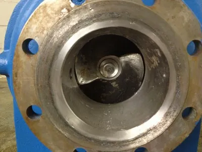 USED Goulds 3175