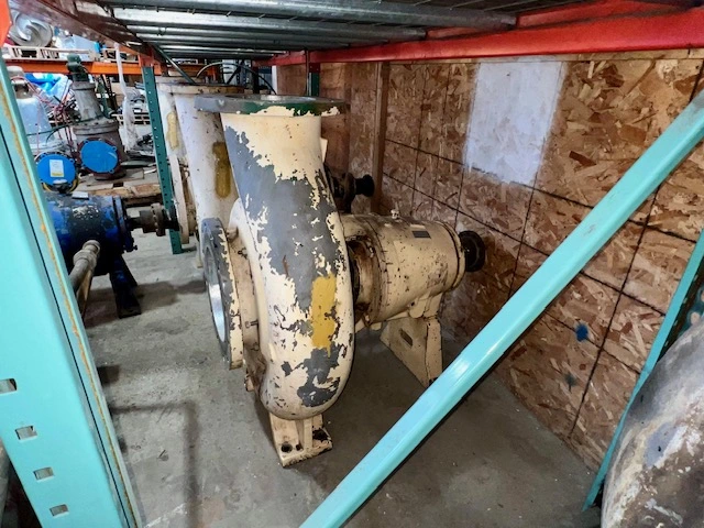 USED Goulds 3175