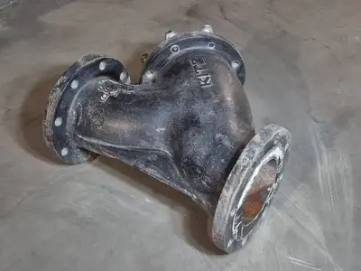 6" 125S 200 WOG Wye Strainer