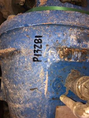 USED Goulds 3175