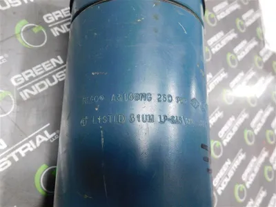 REGO A3149MG External “Pop-Action” Pressure Relief Valves 250 PSIG Used