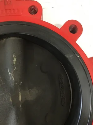 Bray ND4789/20-1000-82801-560 6″Lug-Style Resilient Seated Butterfly Valve