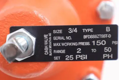 CASH VALVE BFDSSSZTSST-D SIZE 3/4'' NEW TYPE B 150 PSI STOCK 4278