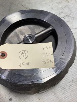 Durable 4” WLC Stainless Steel Wafer Flat Face Valve; 5784 30951