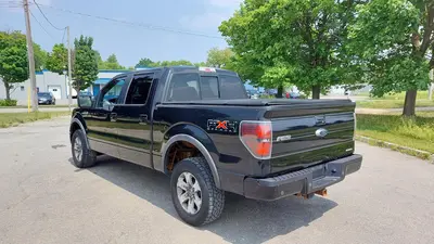 2011 FORD F-150 PICKUP TRUCKS | Platinum Group (10)