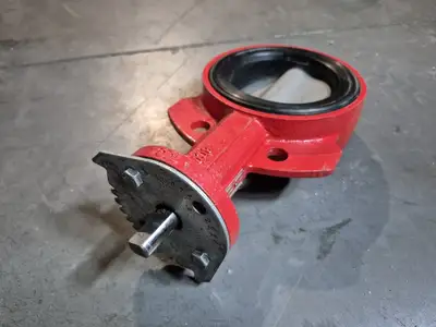 4" Butterfly Valve