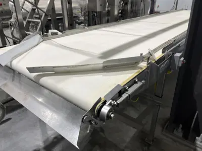 19ft Inspection Conveyor