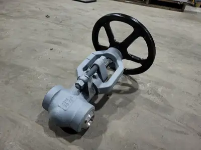 2" Class 900 Globe Valve B16.34